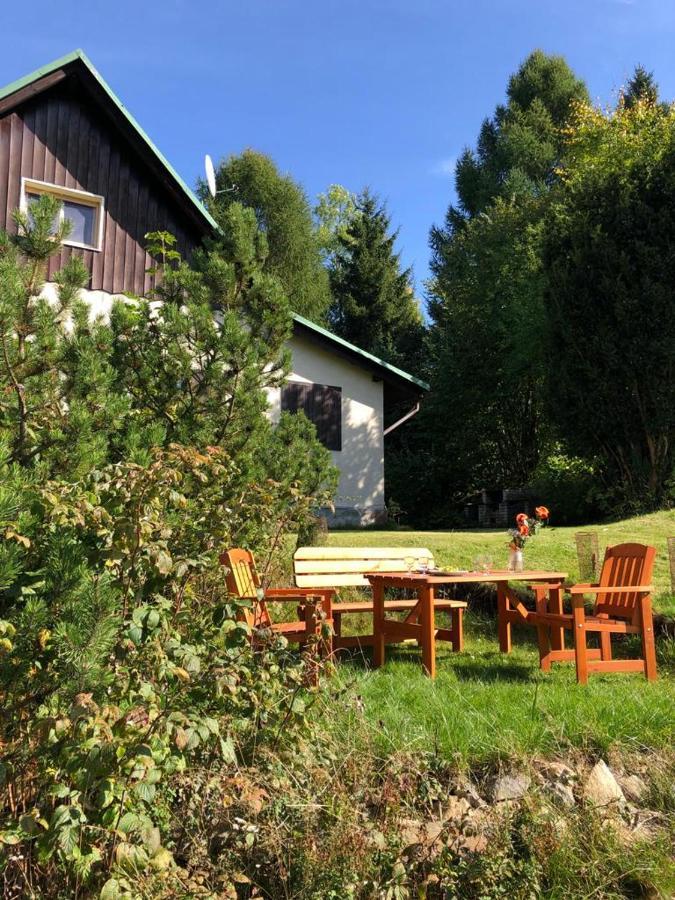 Frantiskov 25 Villa Rokytnice nad Jizerou Exteriör bild